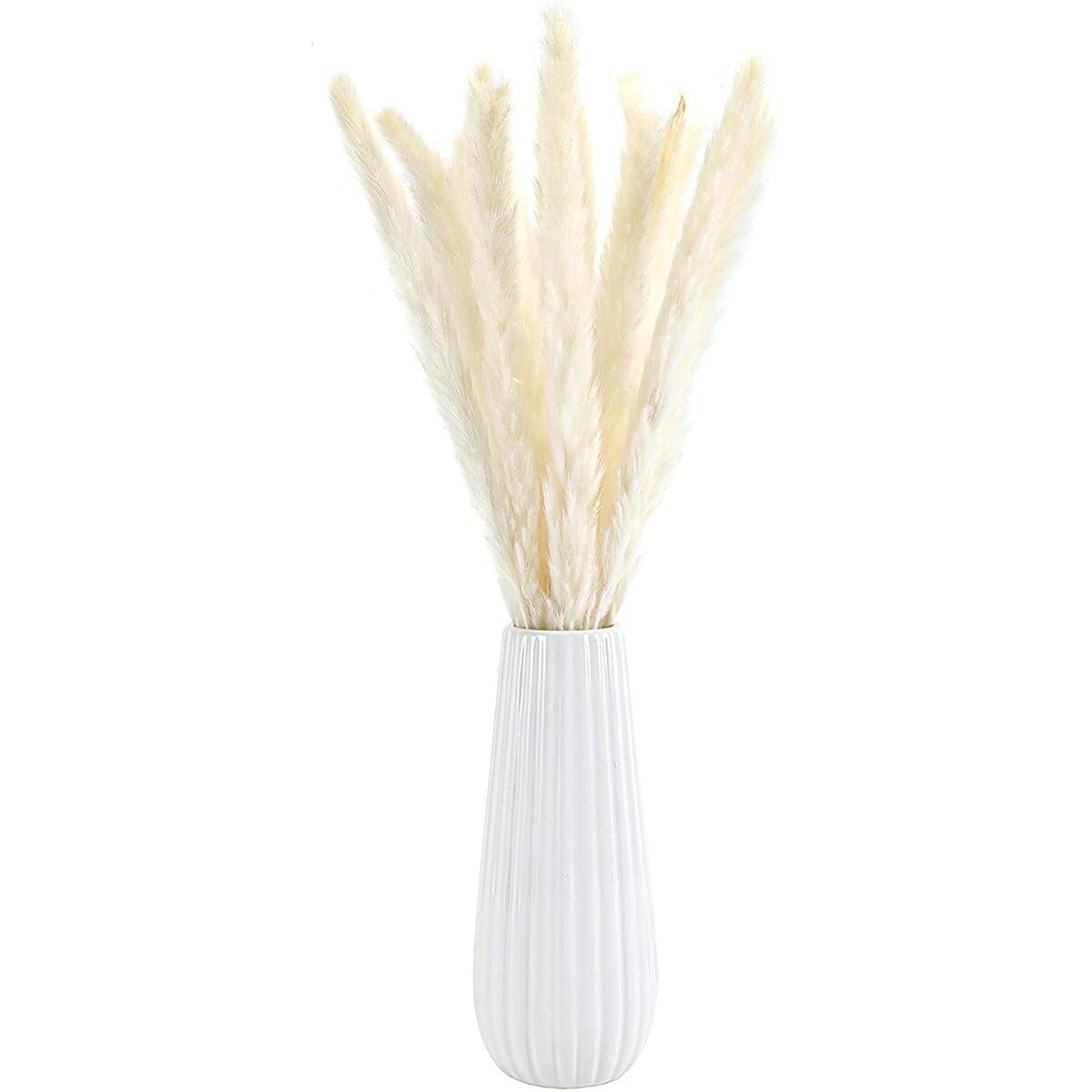 18 inches 15 pcs White Dry Pampas Grass Natural Dried Pampas Grass Small Pampas Grass Plume Wedding White Flower Bunch for Home Kitchen Garden Party Photographing Arrangement Decor