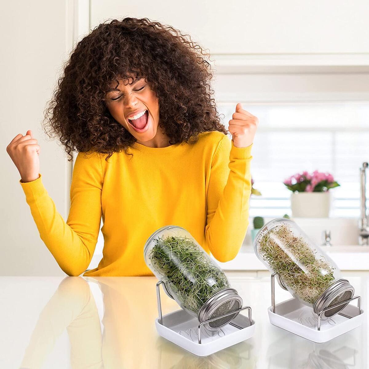 My Greens Sprouting Jar Cashback - RebateKey