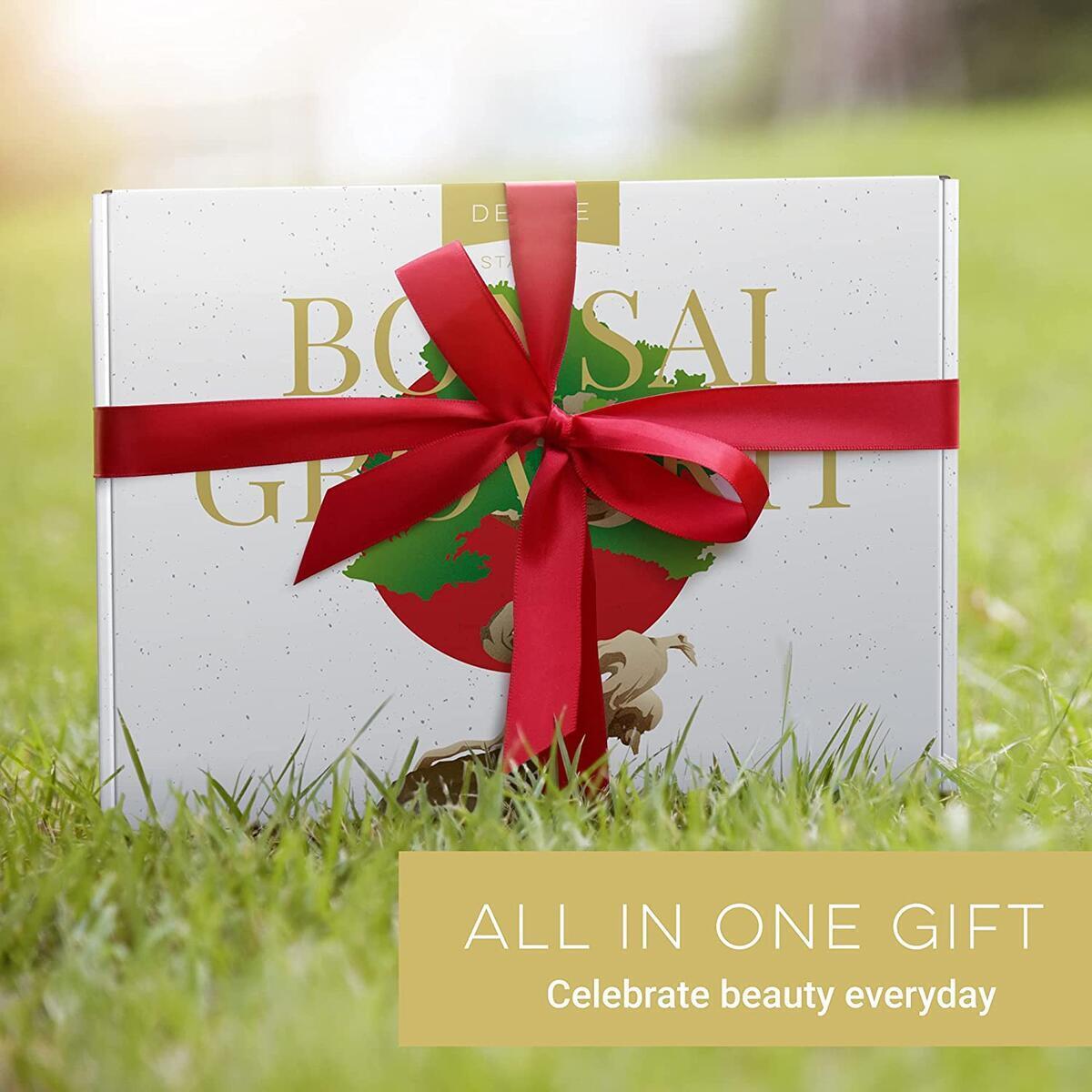 Bonsai 2 Cash Back - RebateKey