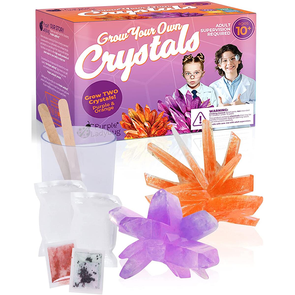 Purple Ladybug Crystal Growing Kit for Kids - Grow 2 Large Crystals, Purple & Orange Colors - Cool Science Experiments, Easy DIY STEM Projects for Kids, Great Educational Gift for Boys, Girls, & Teens