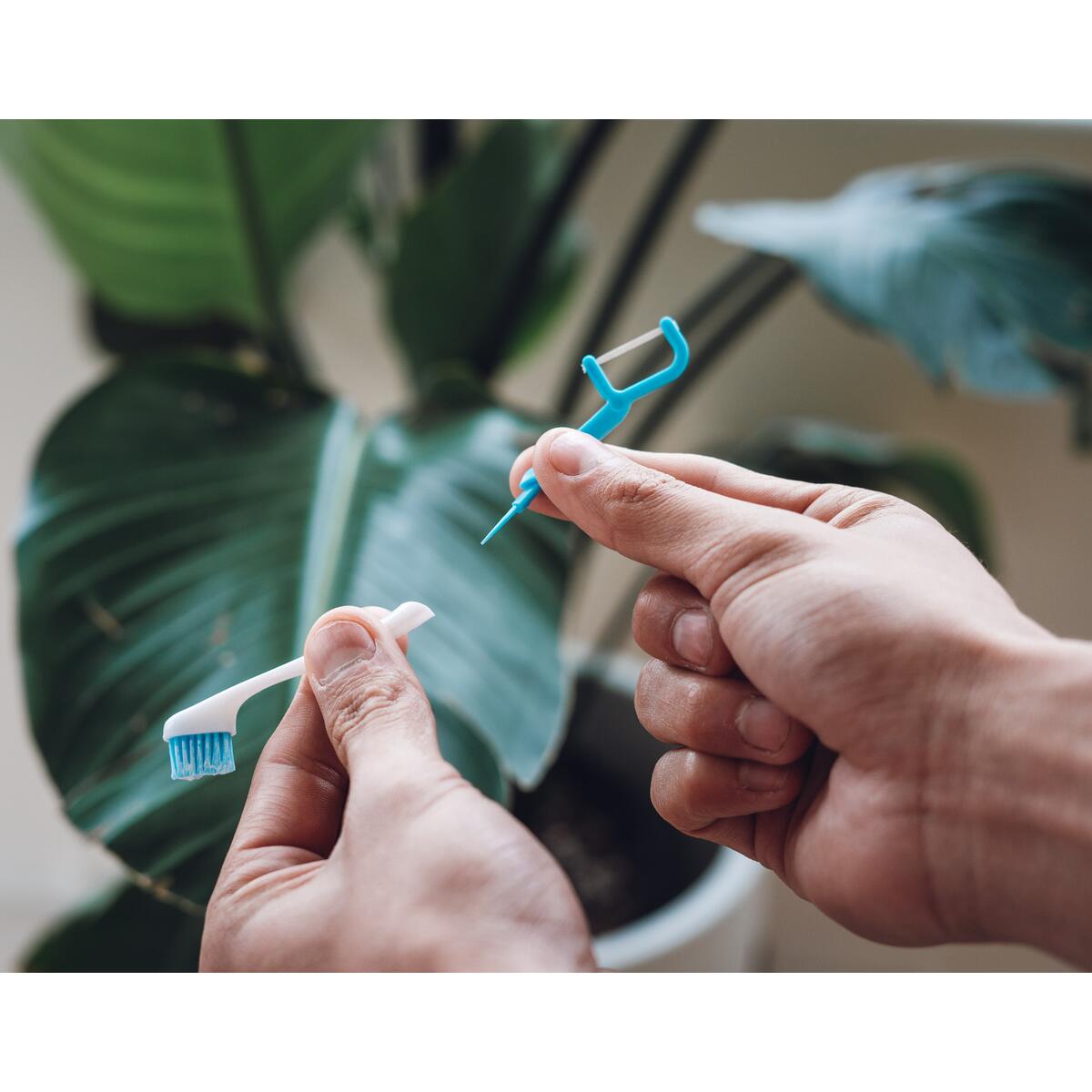 Brushee Cashback - RebateKey