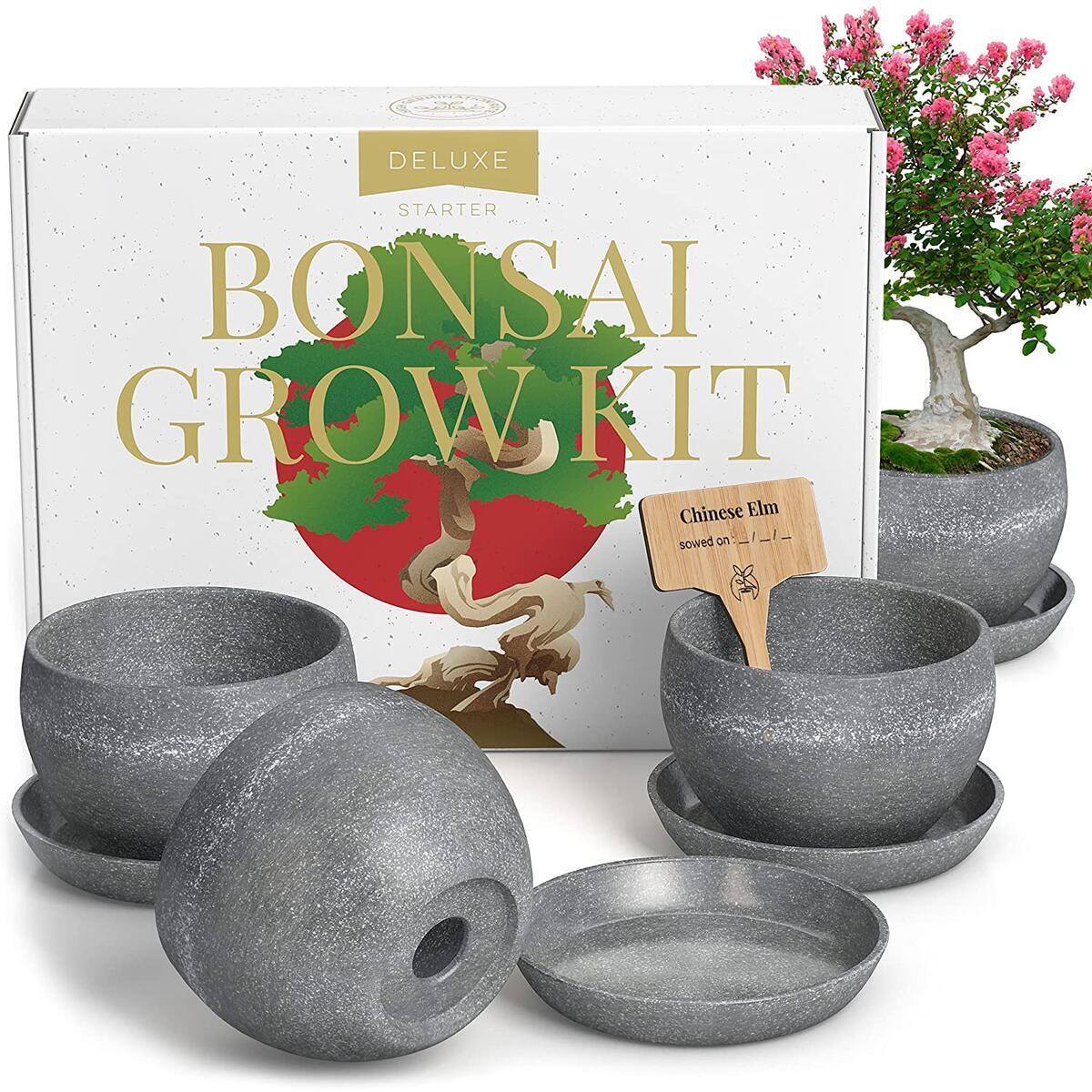 Bonsai Tree Kit – Plant 4 Species of Bonsai Tree w/ Our All-in-One Plant Kit: Bonsai Pots & Peat Pellets Including a Bonus in-Depth Grow Guide by Home Grown | Great Gardening Gifts for Women and Men