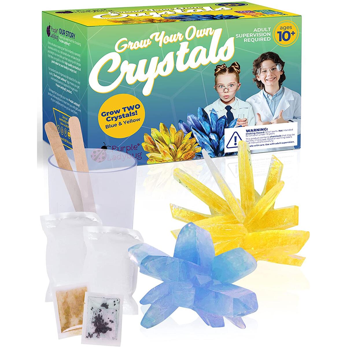 Purple Ladybug Crystal Growing Kit for Kids - Grow 2 Large Crystals, Blue & Yellow Colors - Cool Science Experiments, Easy DIY STEM Projects for Kids, Great Educational Gift for Boys, Girls, & Teens