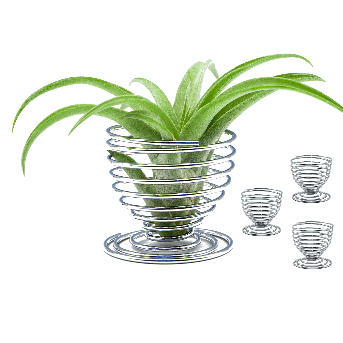 Air Plant Holder – Wall Hanger – Spiral Planter for Tabletop Display Stand – Set for Indoor/Home Decoration, Wedding Gift, Centerpiece – NO Plants Included - 4 Pack (Silver)
