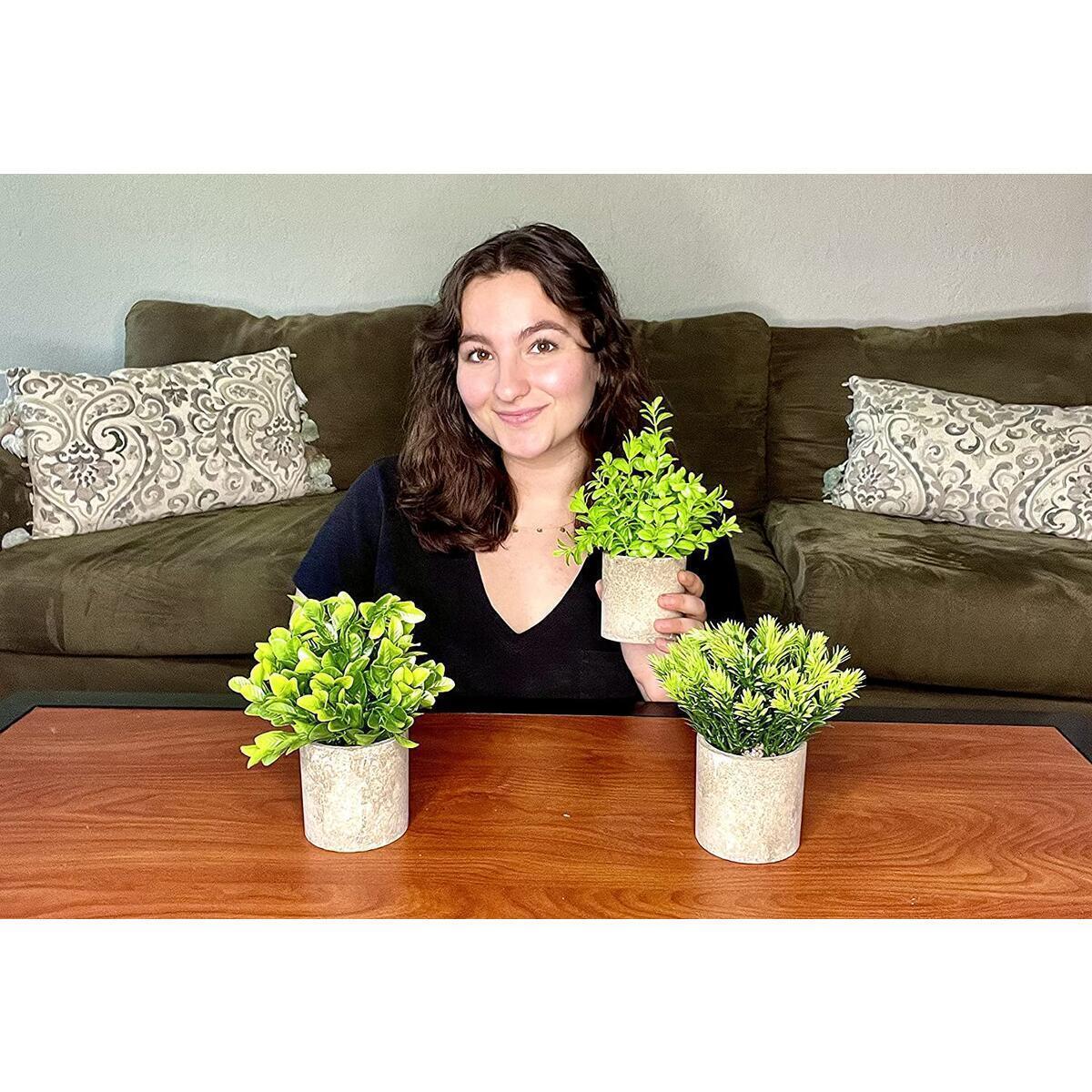 Artificial Greenery 4 Rebate - RebateKey