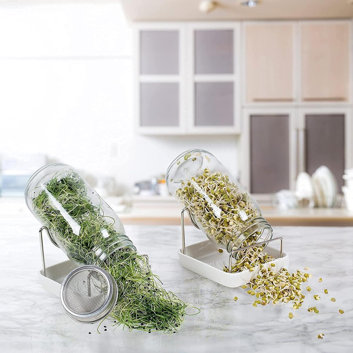 My Greens Sprouting Jar Cashback - RebateKey