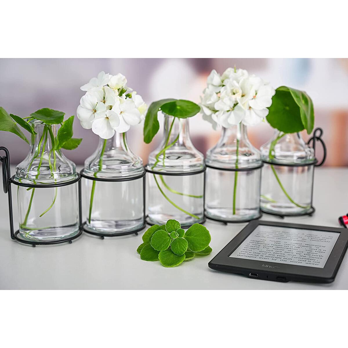 5pc Glass Flower Vase Cashback - RebateKey