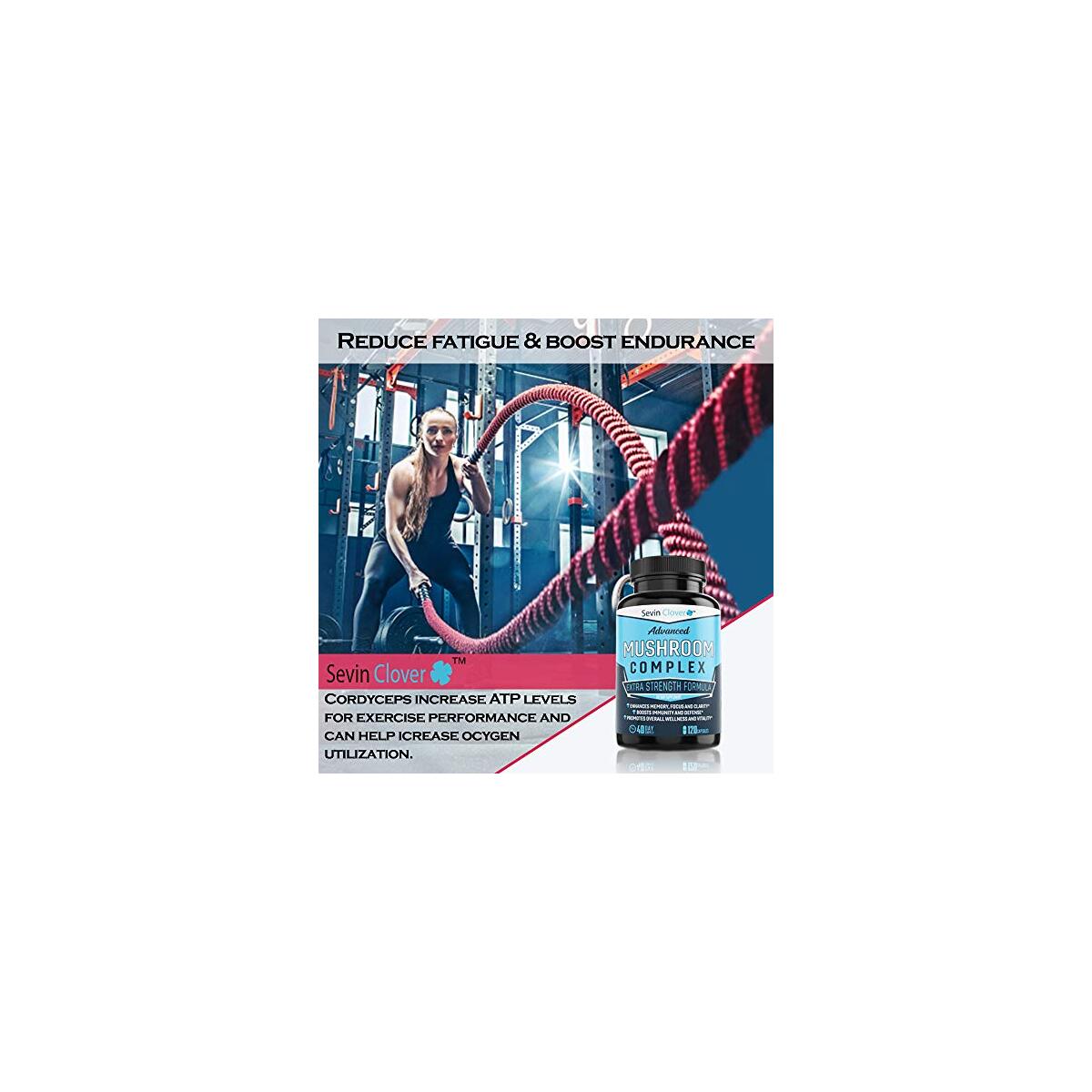Mushroom Supplement 1 Cashback - RebateKey
