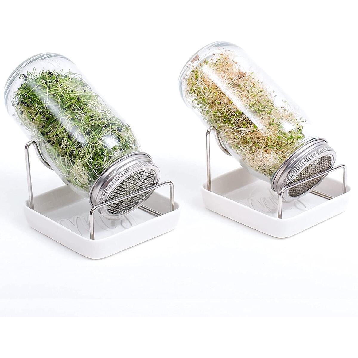 My Greens Sprouting Jar Kit | 2 Width Mouth Mason Jars with Screen Lids, Ceramic Trays, Stands and Instruction for Sprouting Seeds, Beans and Grains | Sprouts Growing Kit includes E-Book for Beginners