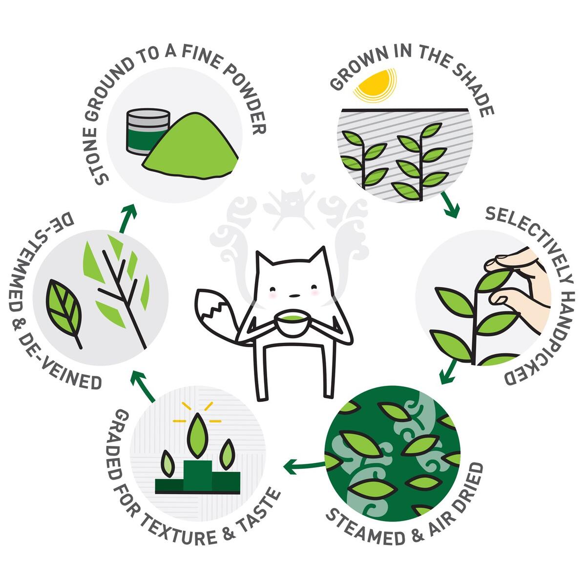 Matcha Tea 2 Rebate - RebateKey