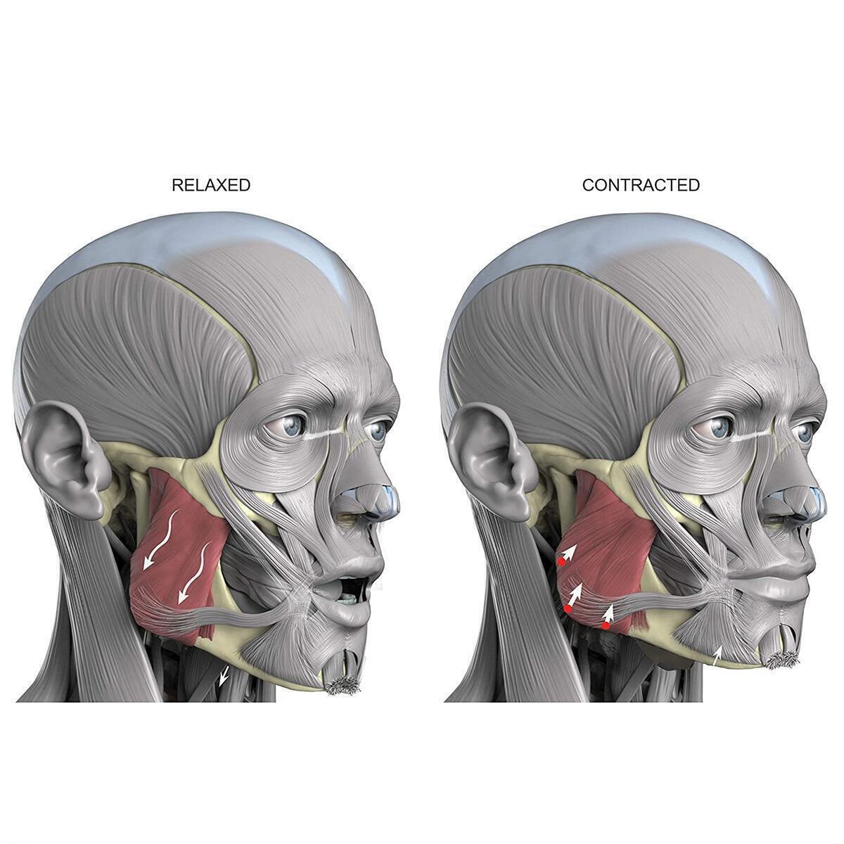 Jawline Exerciser 35 Cashback - RebateKey