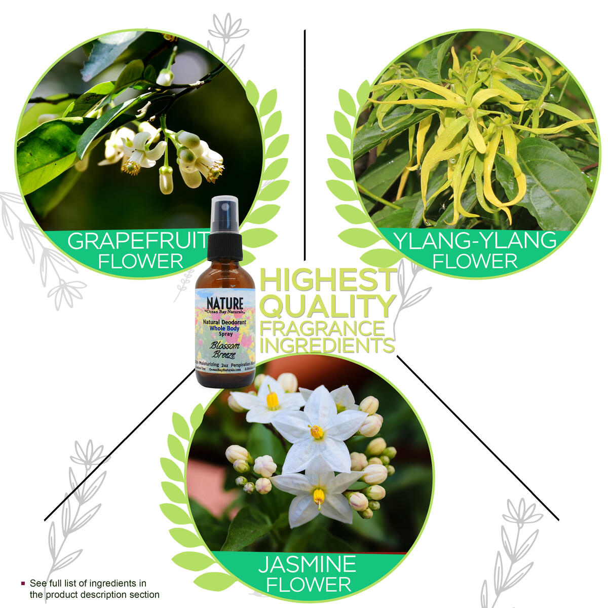 Natural Deodorant 10 Cashback Rebate - RebateKey