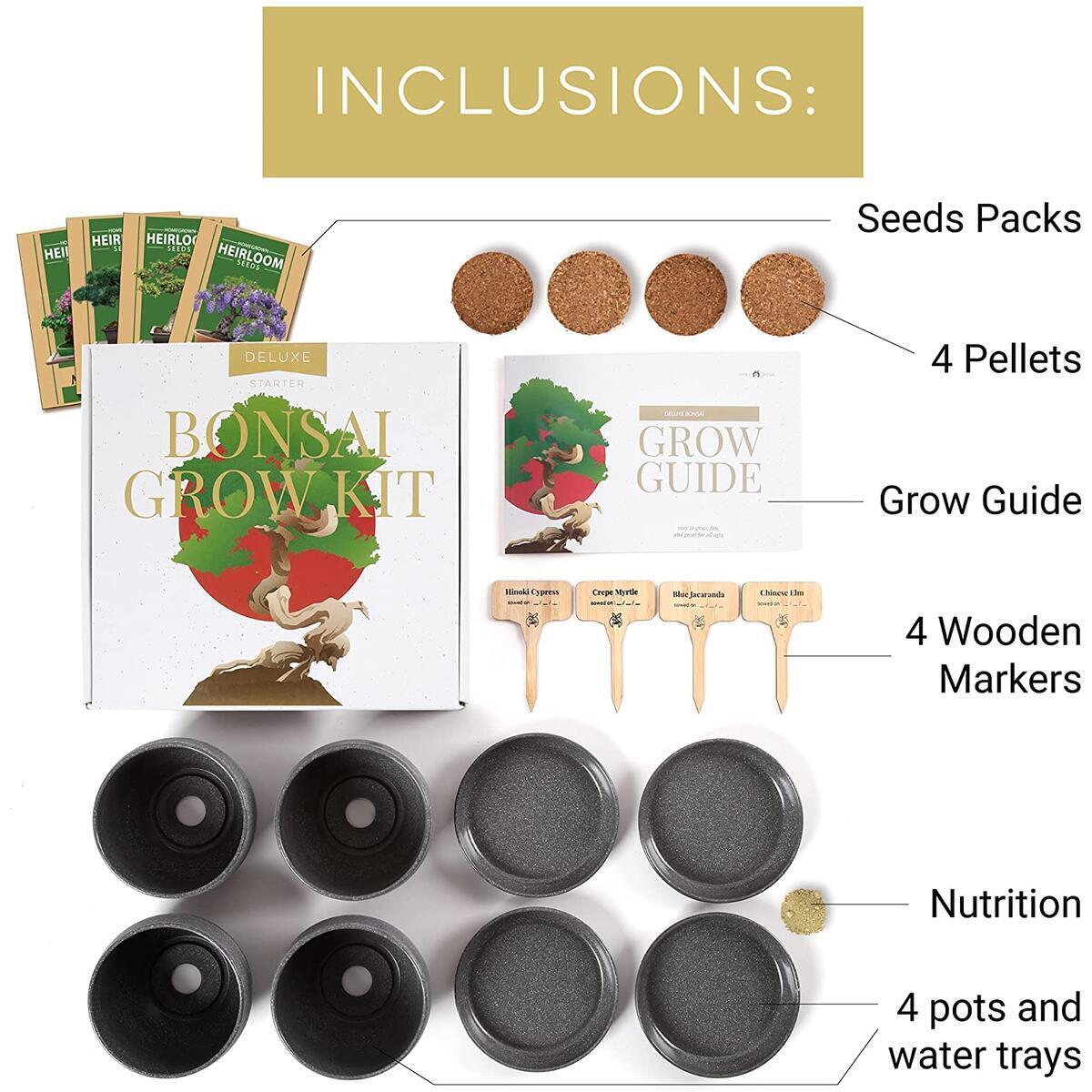 Bonsai 2 Cash Back - RebateKey