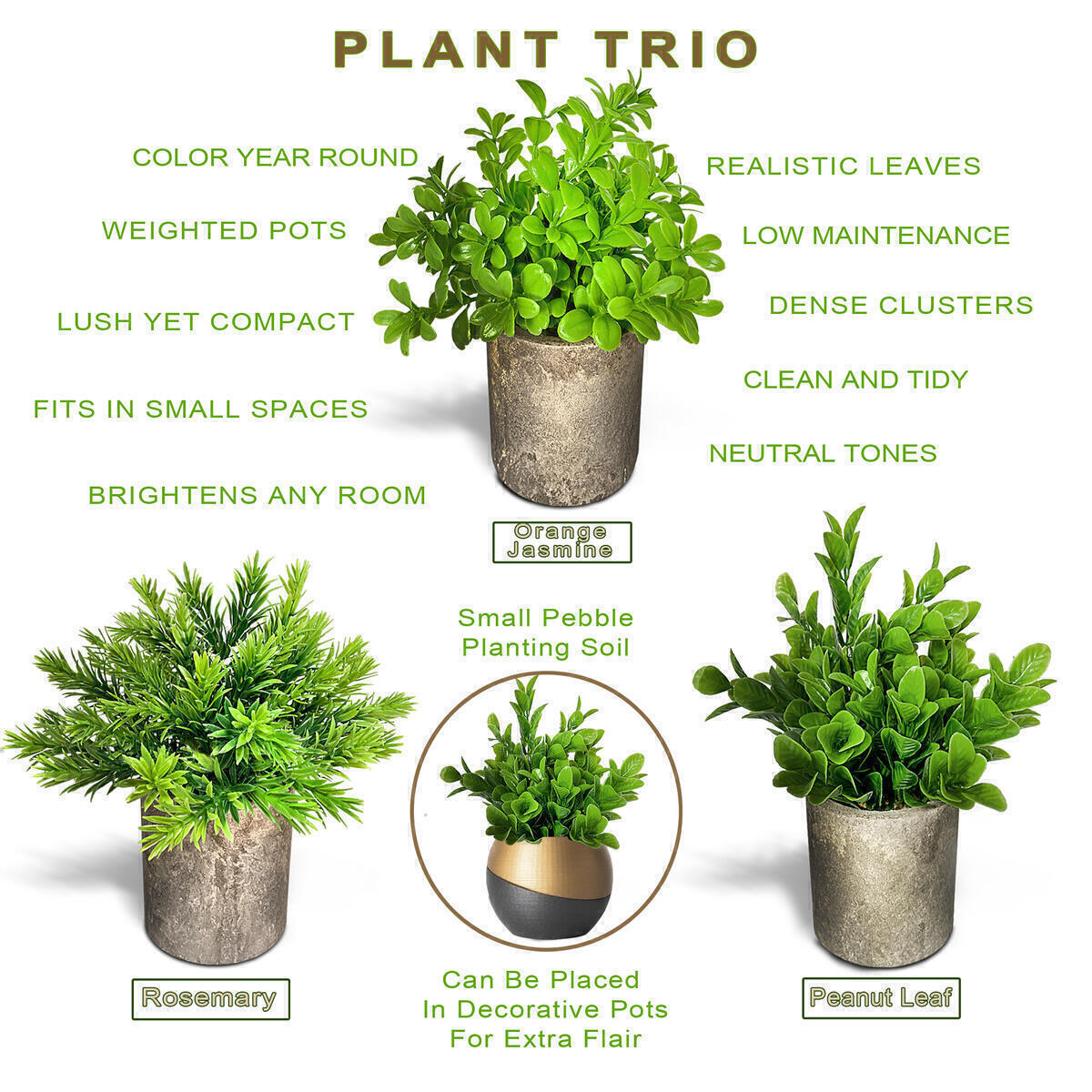 Artificial Greenery 4 Rebate - RebateKey