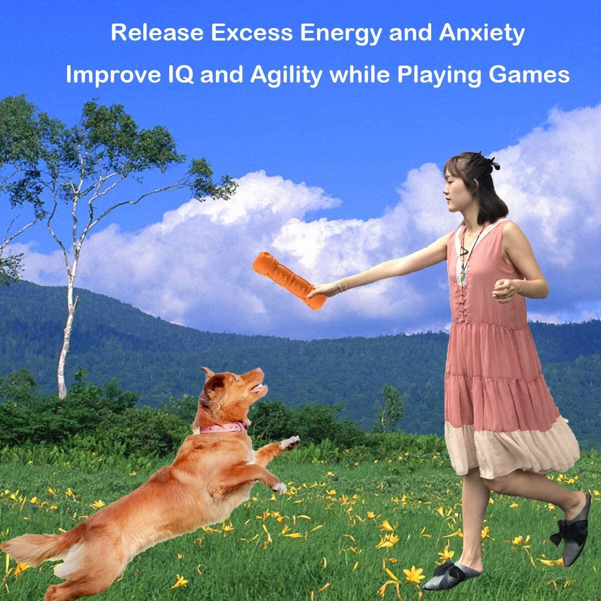 Dog Chew Toy 8 Cashback Rebate - RebateKey