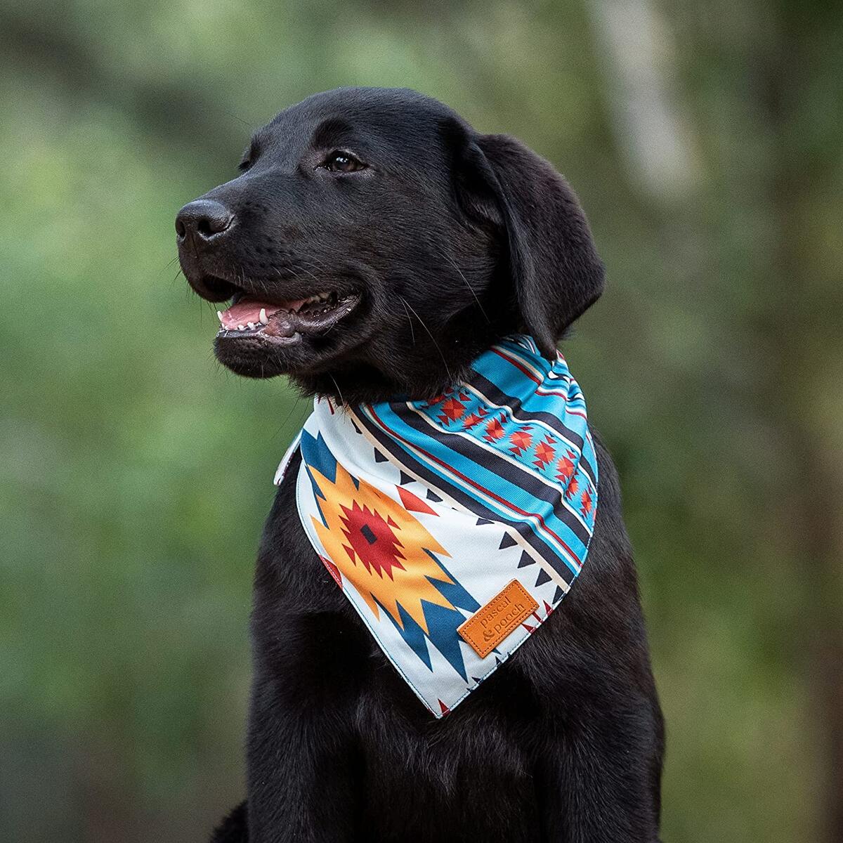 Dog Bandanas 9 Cash Back - RebateKey