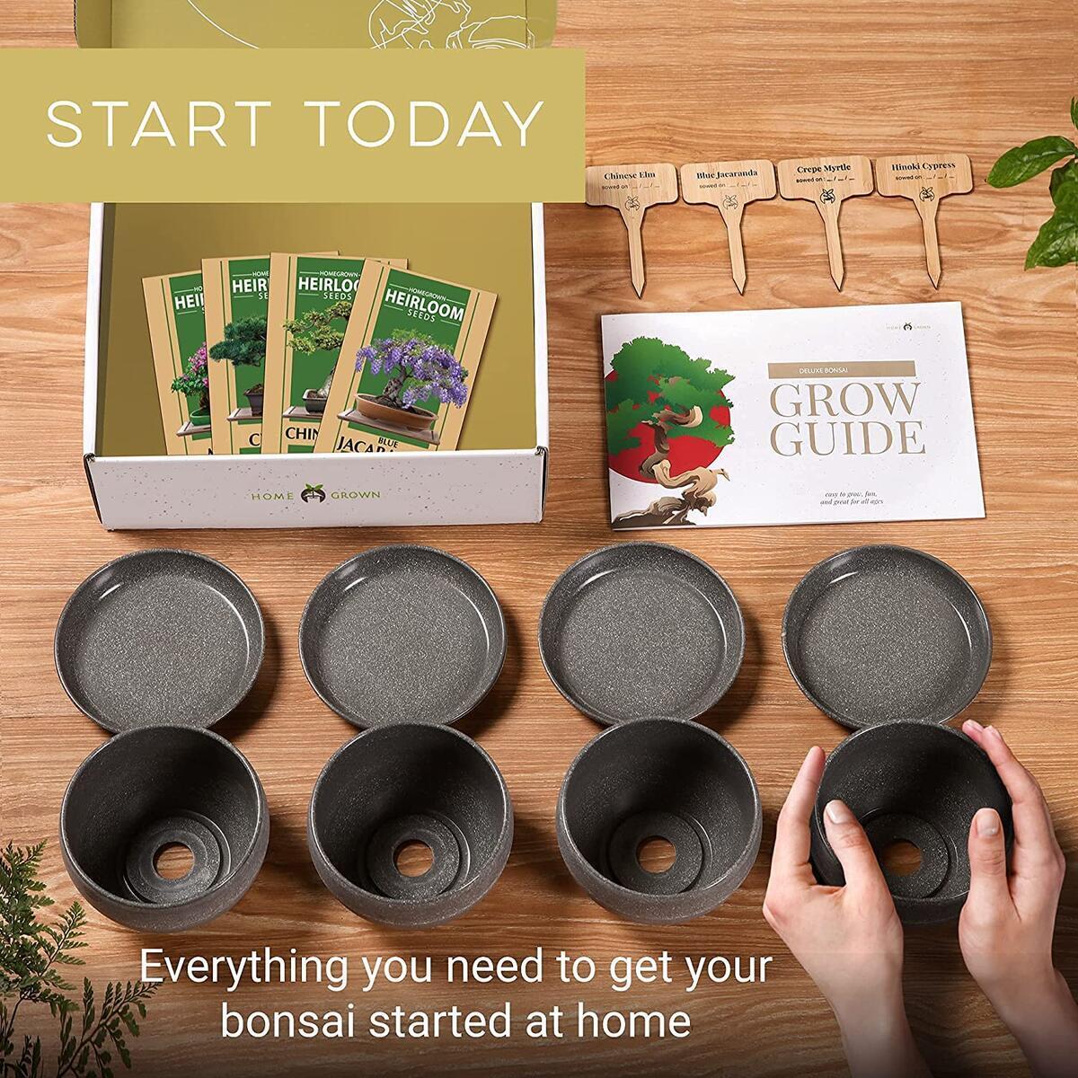 Bonsai 2 Cash Back - RebateKey