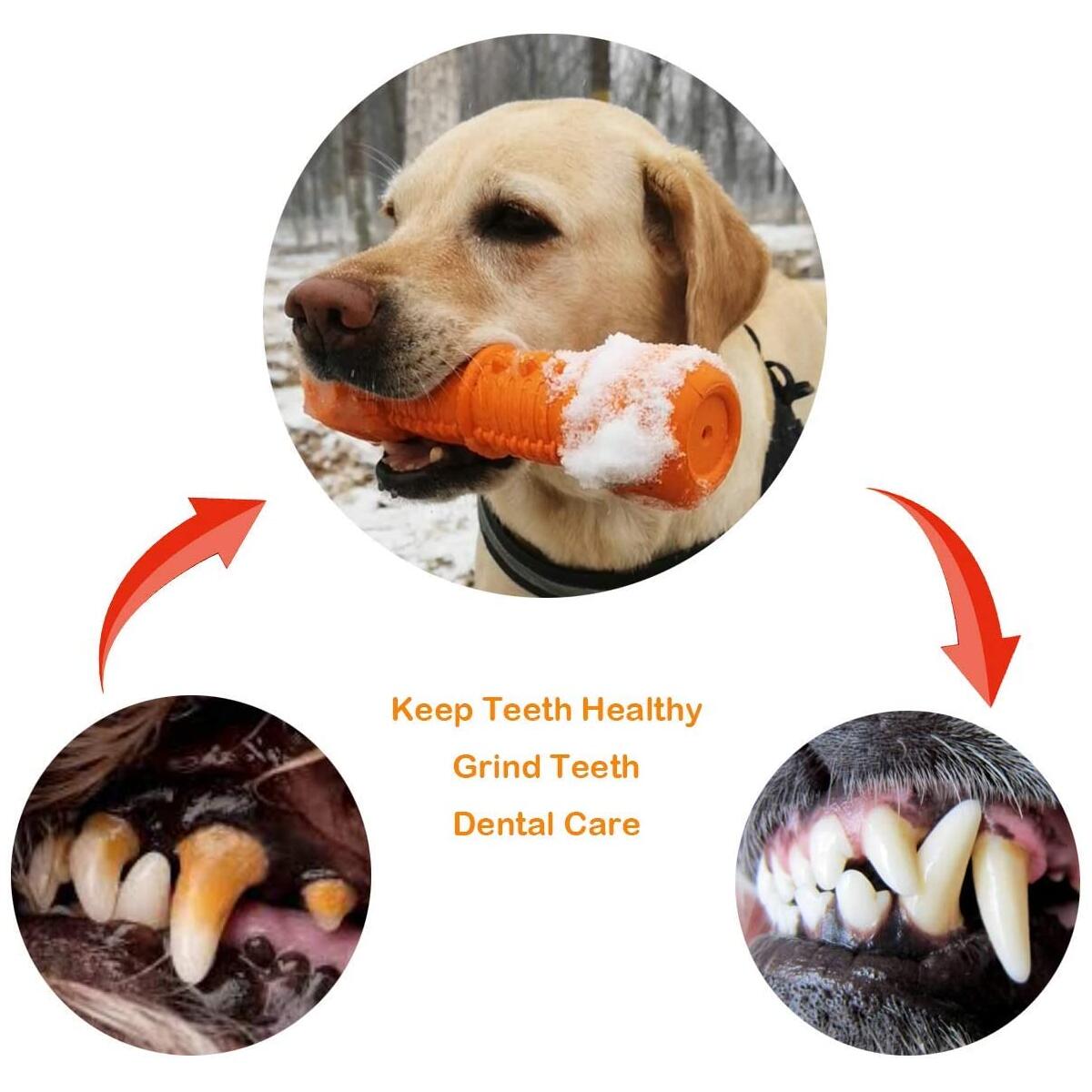 Dog Chew Toy 8 Cashback Rebate - RebateKey