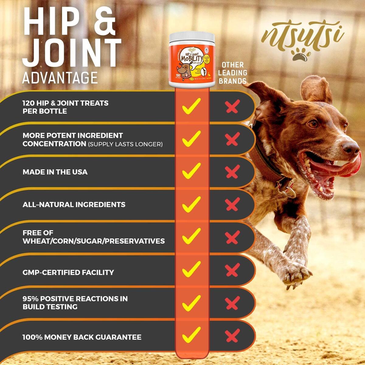 Msm Supplement Cashback - RebateKey