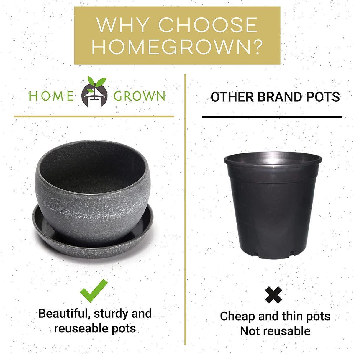 Bonsai 2 Cash Back - RebateKey