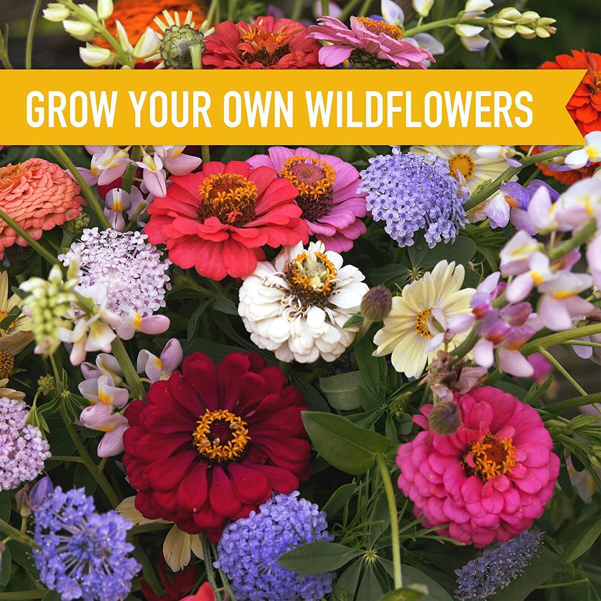 Wildflower Seeds 3 Cashback Rebates - RebateKey
