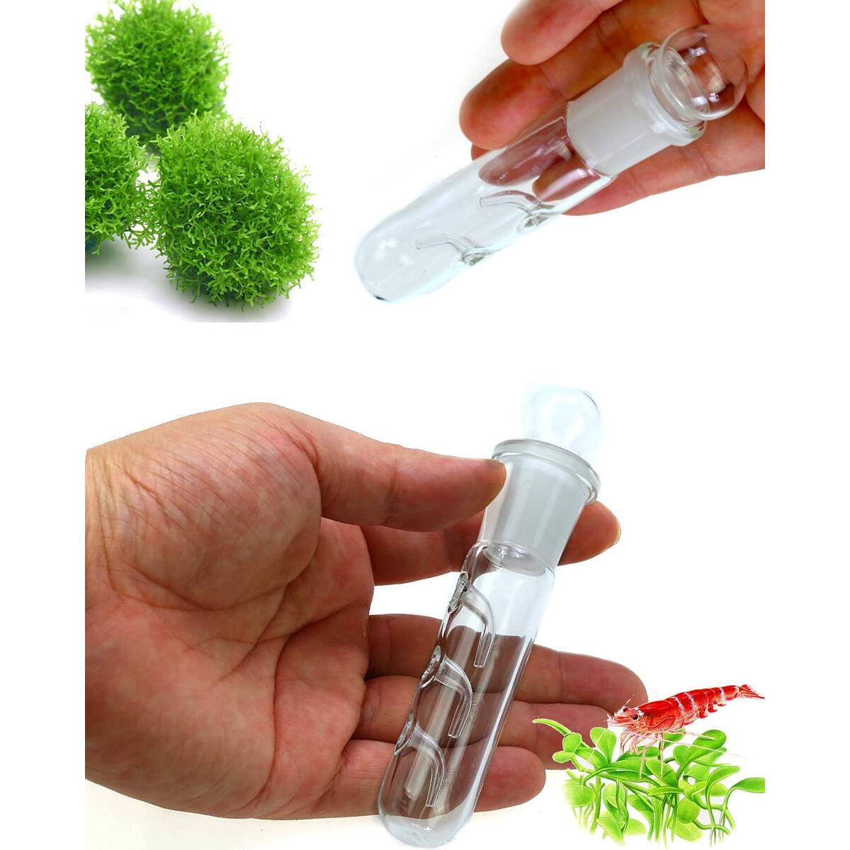 Planaria Trap for Crystal Red Shrimp Tank - Aquarium Bristle Worm Catcher, Cherry Shrimp Dwarf Shrimp Ghost Shrimp Live Freshwater Cleaning Supplies - Clear Glass Leeches Catching Tube (3 Holes)
