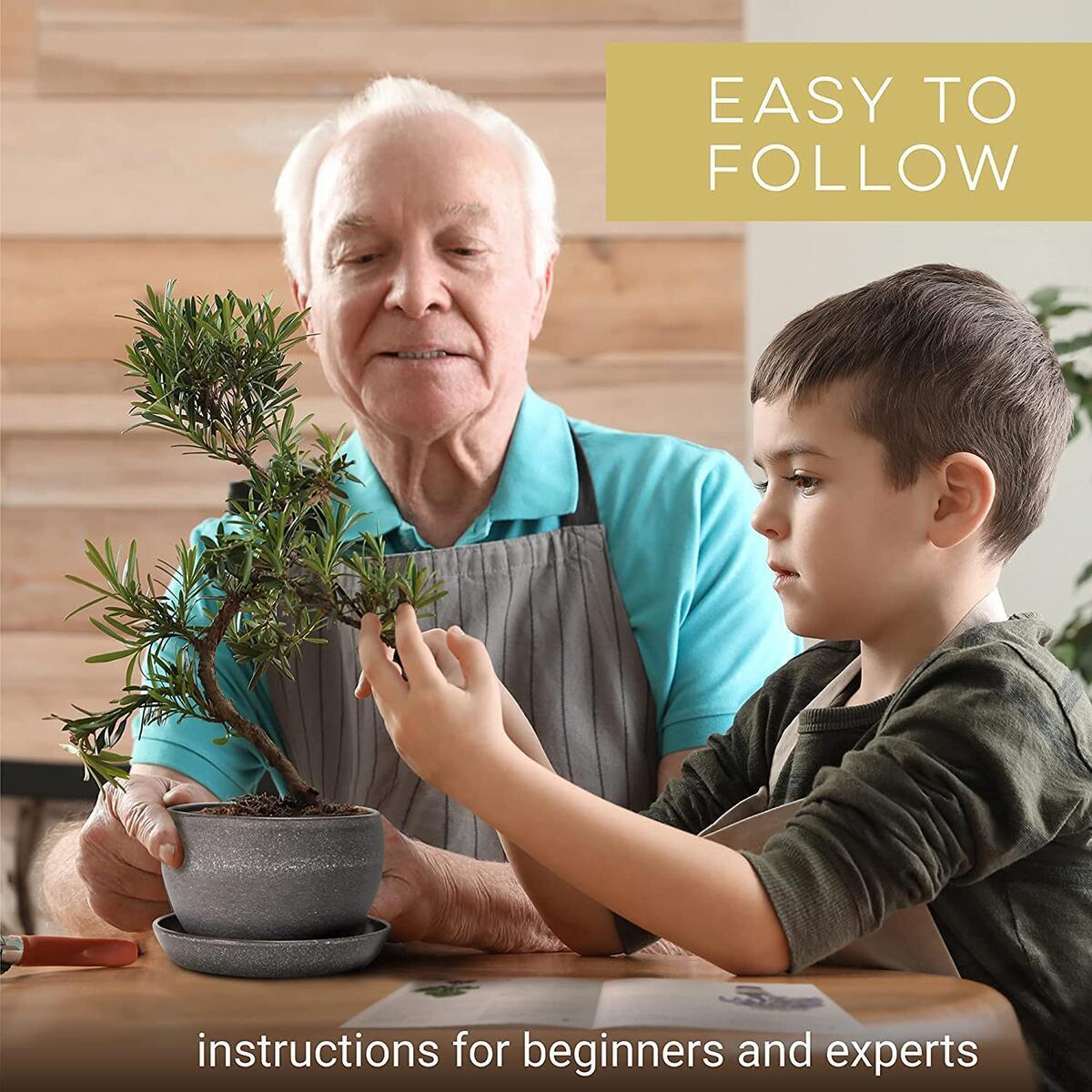 Bonsai 2 Cash Back - RebateKey