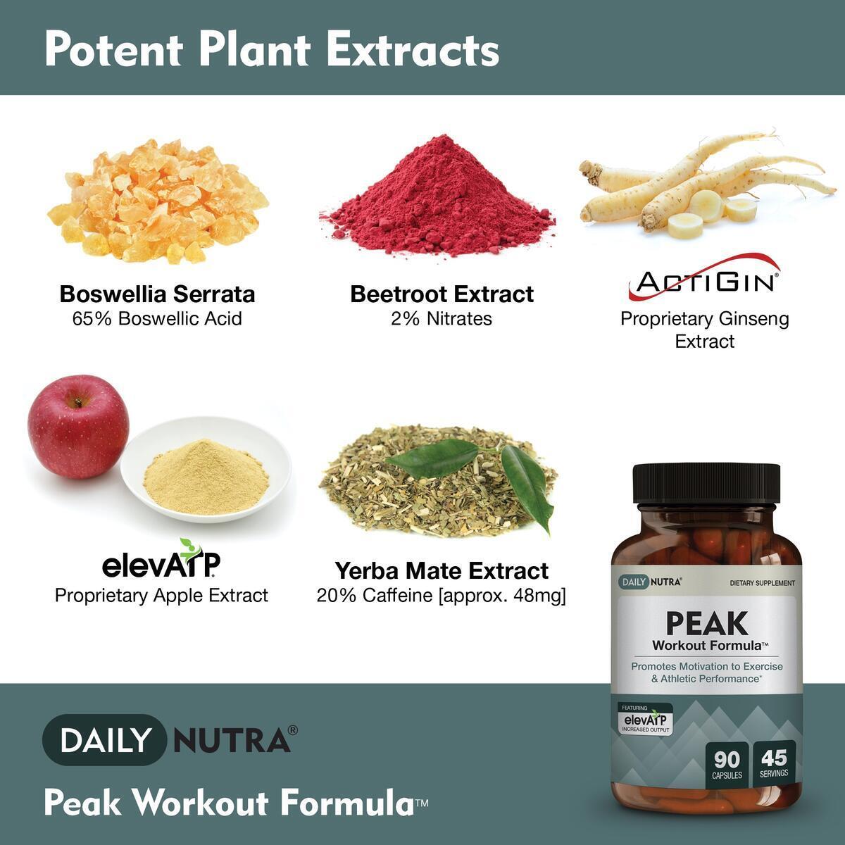 Recovery Supplement 1 Cashback Rebate - RebateKey