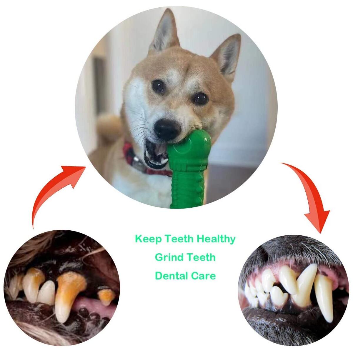 Dog Toys 7 Cashback Rebates - RebateKey