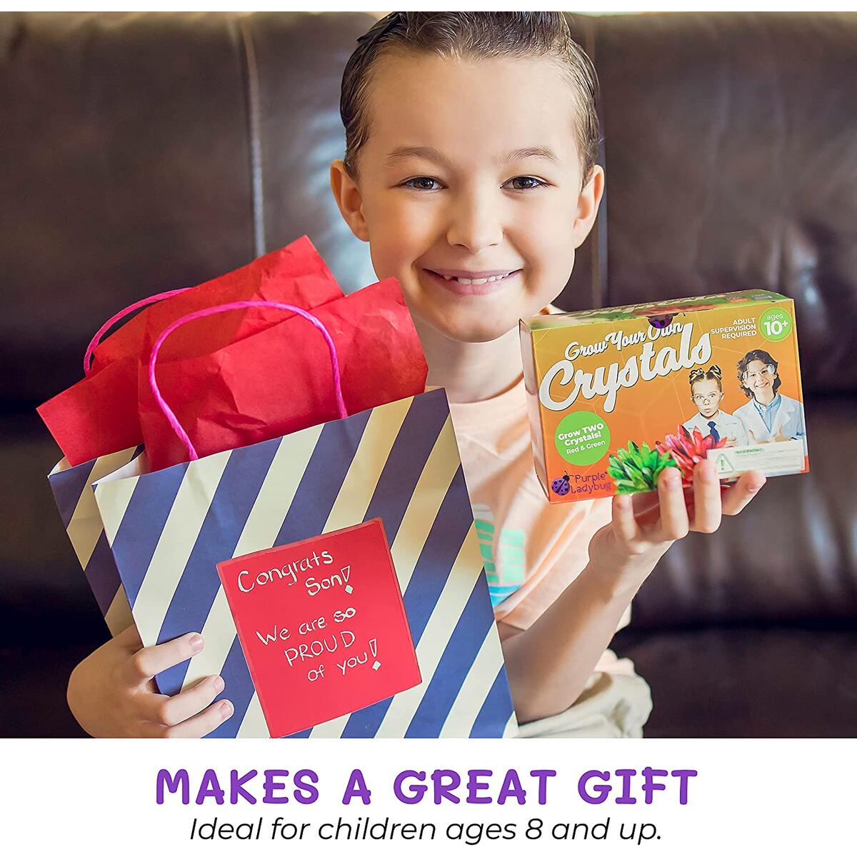 Crystal Growing Kit 3 Rebate - RebateKey