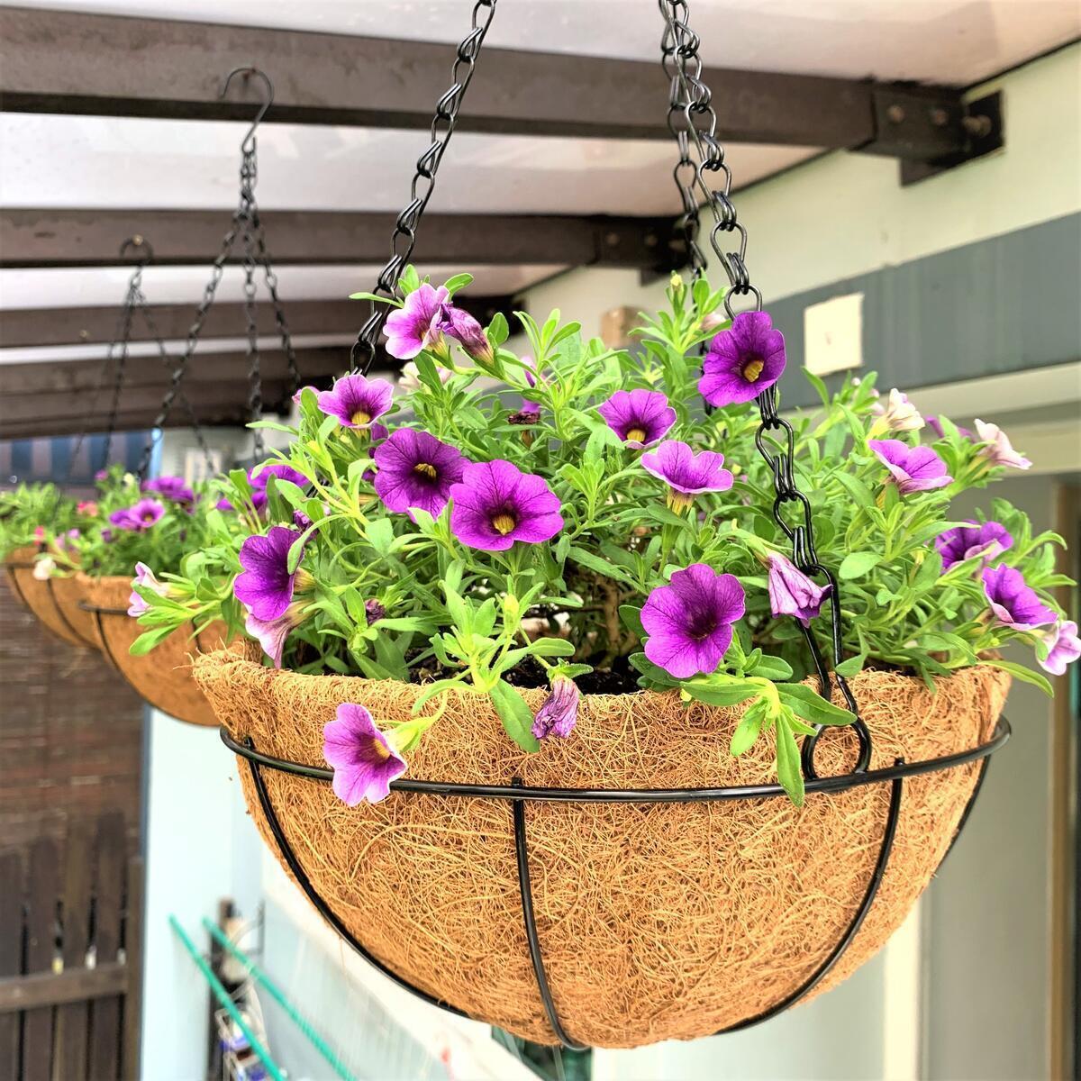 Hanging Baskets for Plants - DO NOT CLAIM ADDITIONAL COUPON, 3 Pack, 10 Inch Hanging Planter Outdoor, Metal Wire Basket with Liner, Small Round Hanging Flower Baskets Pots Holder Hanger Hook Deck Porch Garden Balcony Indoor Decor