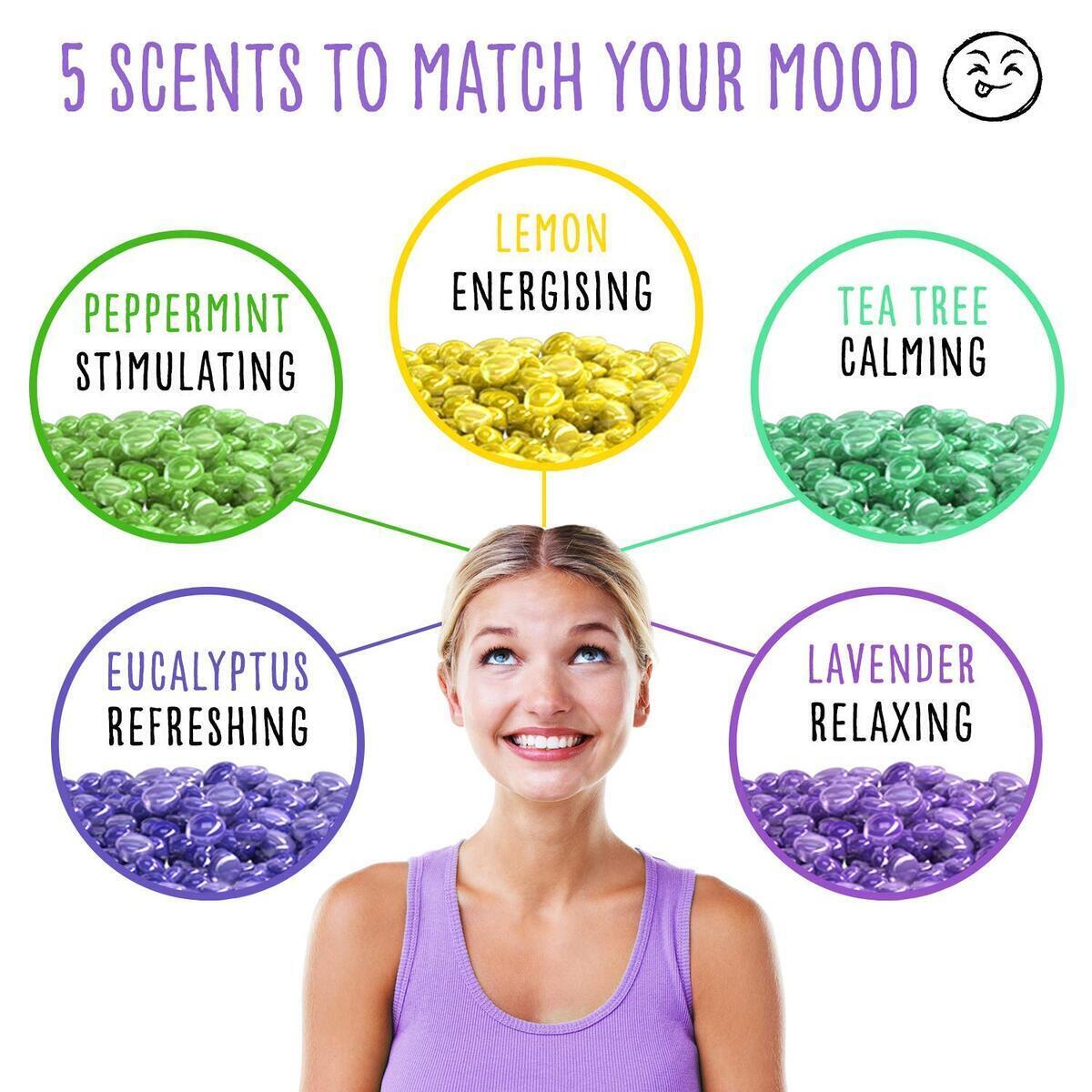 Wax Pot Cashback - RebateKey