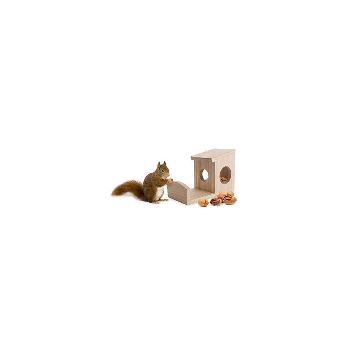 Nature's Hangout Squirrel Feeder for Feeding Your Furry Friends Outdoors - Environmentally Friendly Wood Feeder Holds Food, Nuts and Seeds - Hangs Outside Near The House so You Can Watch The Fun