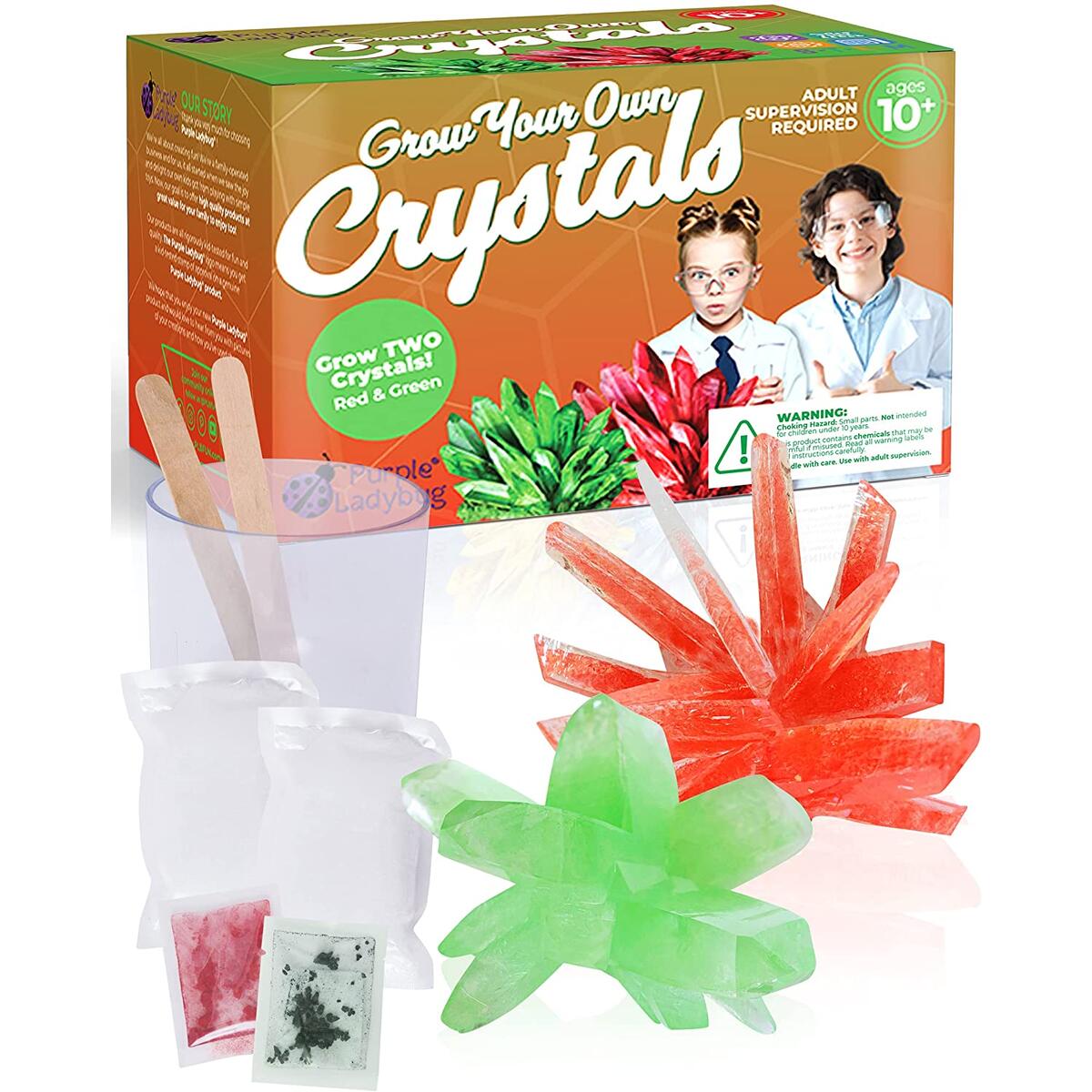 PURPLE LADYBUG Crystal Growing Kit for Kids - Cool Science Experiments to Grow 2 Crystals in Red & Green Colors - Easy DIY STEM Projects for Kids, Great Educational Gift for Boys, Girls, and Teens
