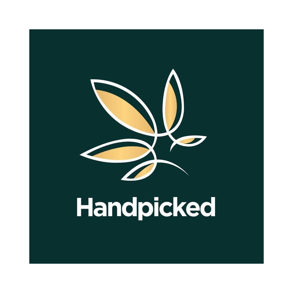 Handpicked CBD coupons and coupon codes