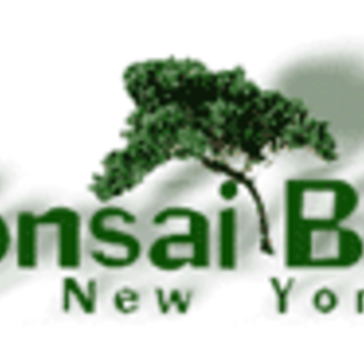 Bonsai Boy of New York coupons and coupon codes