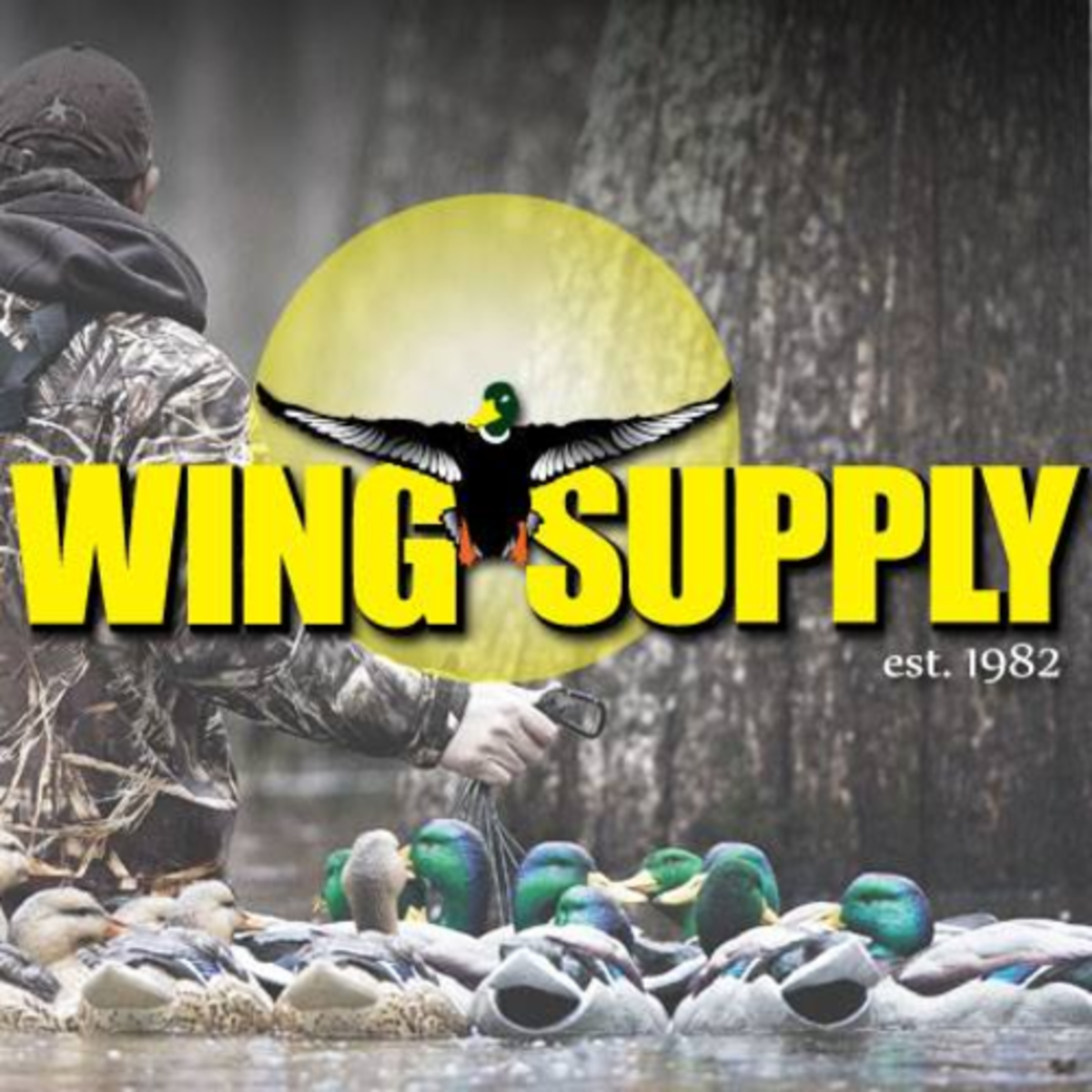 WingSupply coupons and coupon codes