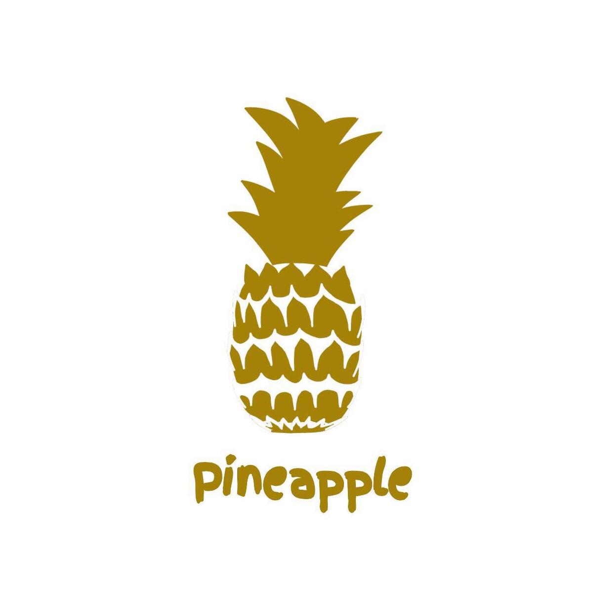 Pineapple Clothing coupons and coupon codes